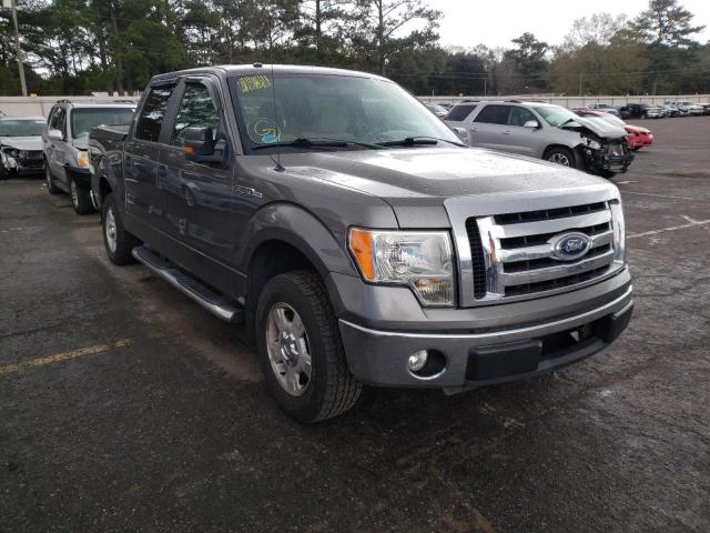 FORD F150 SUPER 2010 1ftew1c80afc95451