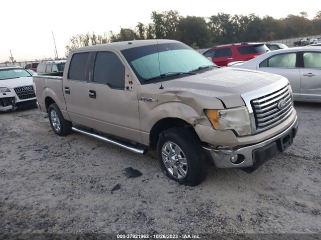 FORD F-150 2010 1ftew1c80afd09395