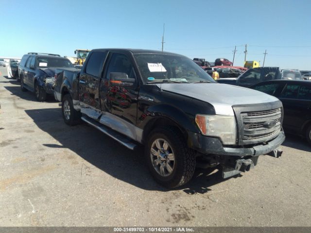 FORD F-150 2010 1ftew1c80afd11177