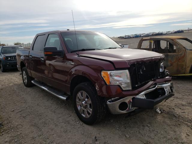 FORD F150 SUPER 2010 1ftew1c80afd50075