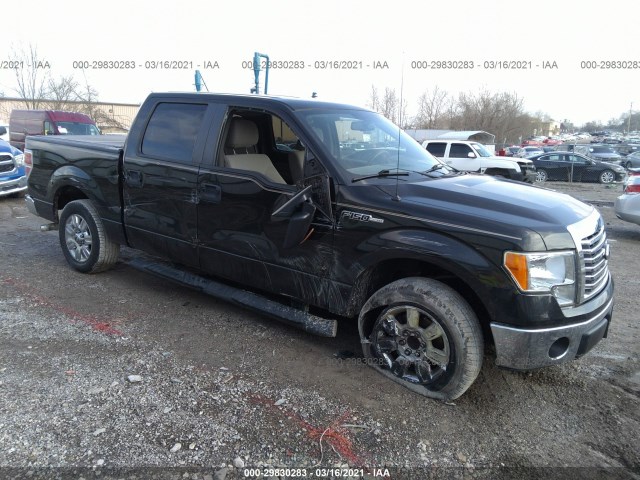 FORD F-150 2010 1ftew1c80afd53672