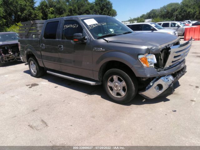 FORD F-150 2010 1ftew1c80afd81259