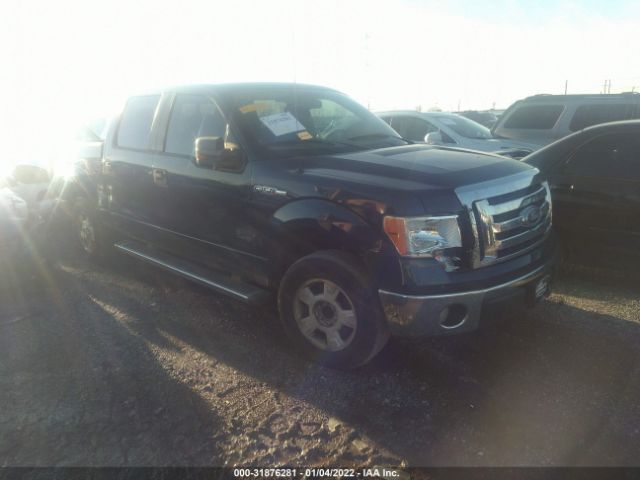 FORD F-150 2010 1ftew1c80aka27104