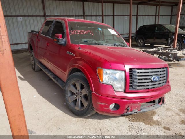 FORD F-150 2010 1ftew1c80ake14803