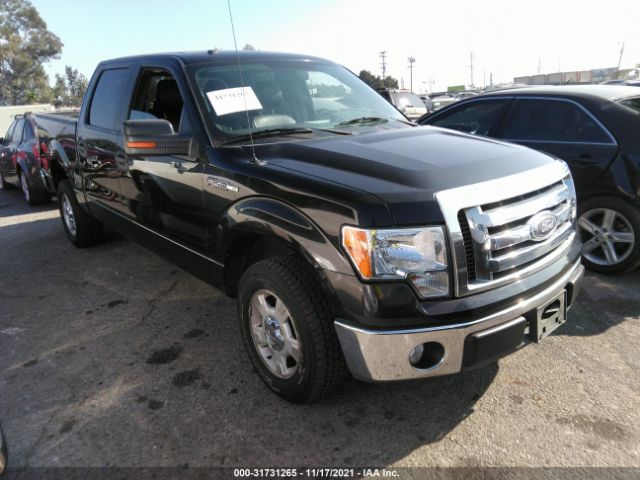 FORD F-150 2010 1ftew1c80ake65203