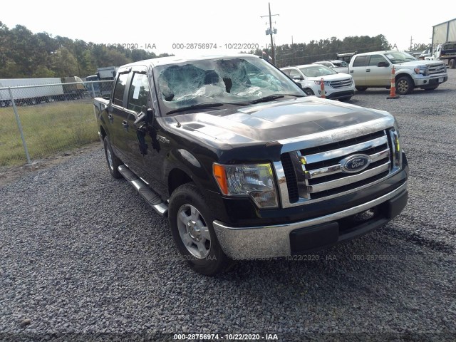 FORD F-150 2010 1ftew1c81afa37021