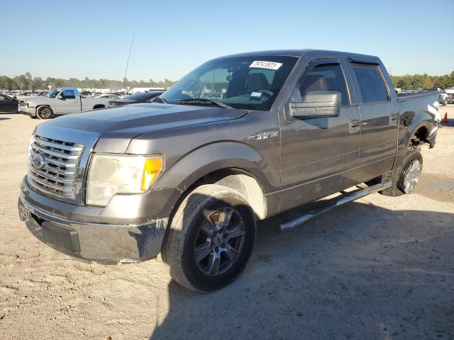 FORD F-150 2010 1ftew1c81afa40954