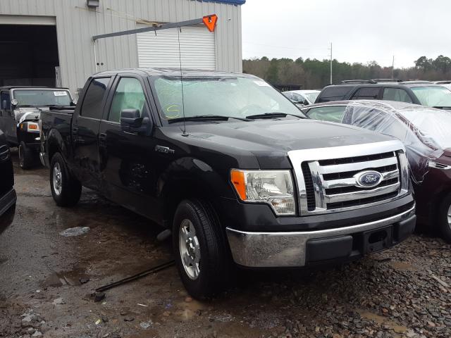 FORD F150 SUPER 2010 1ftew1c81afa60394