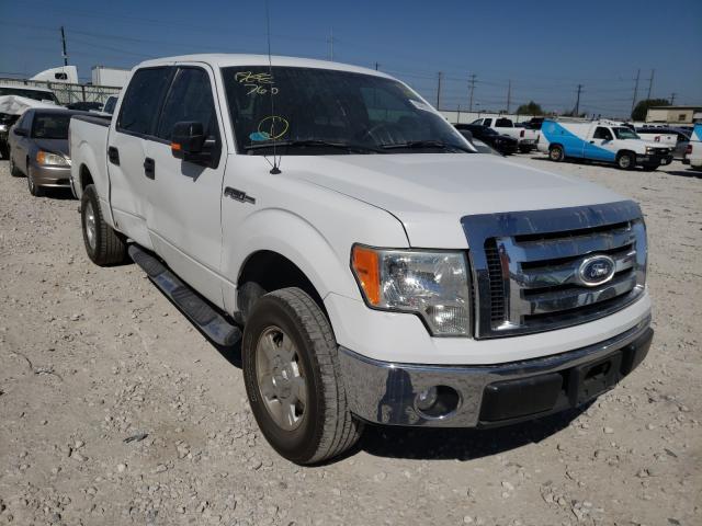 FORD F150 SUPER 2010 1ftew1c81afa83982