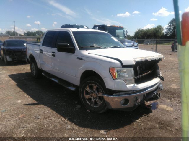 FORD F-150 2010 1ftew1c81afb27852