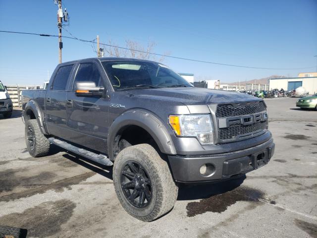 FORD F150 SUPER 2010 1ftew1c81afb39578