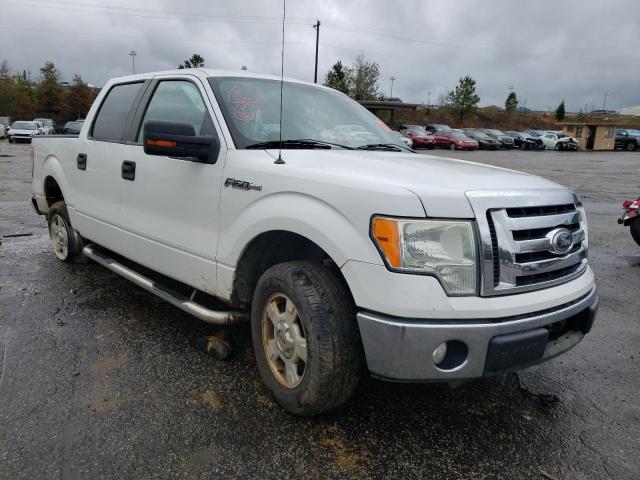 FORD F150 SUPER 2010 1ftew1c81afb49916