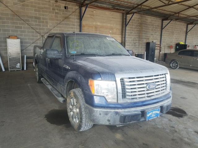 FORD F150 SUPER 2010 1ftew1c81afb60611