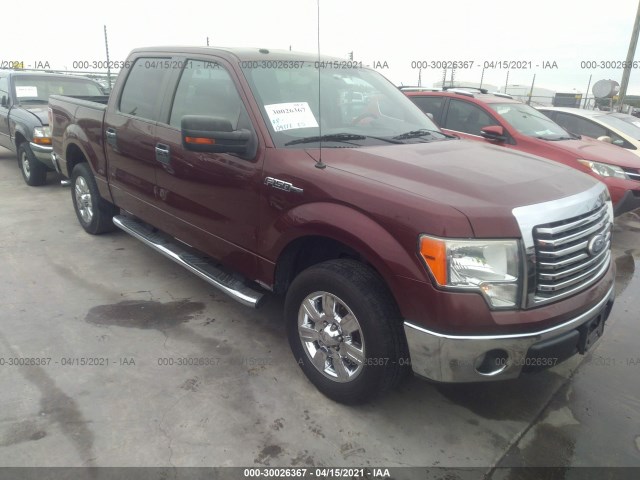 FORD F-150 2010 1ftew1c81afb67848