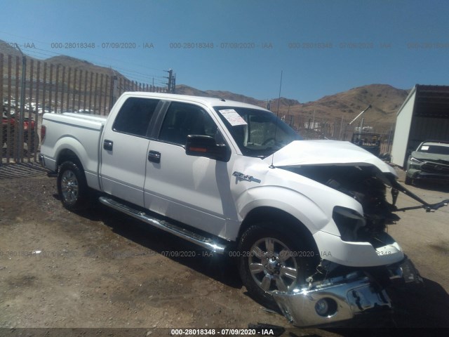 FORD F-150 2010 1ftew1c81afb94564