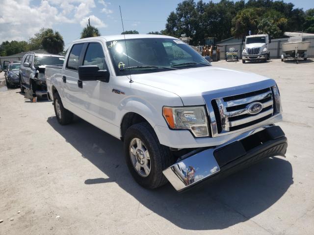 FORD F150 SUPER 2010 1ftew1c81afc53449