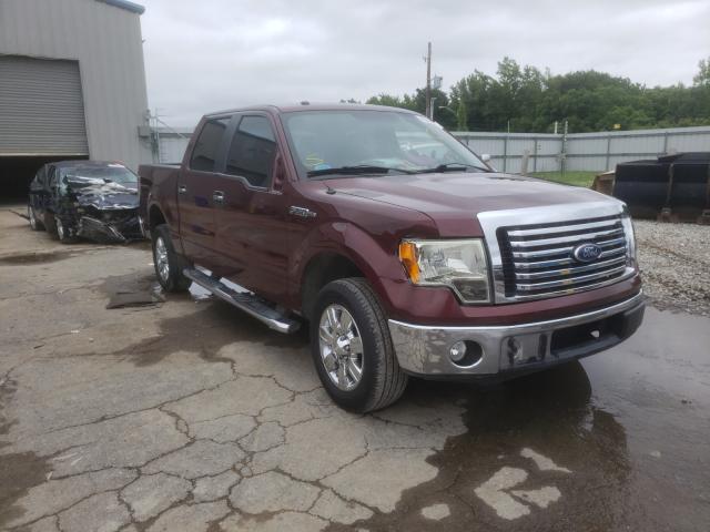 FORD F150 SUPER 2010 1ftew1c81afc88380