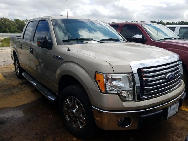 FORD F150 SUPER 2010 1ftew1c81afd01645