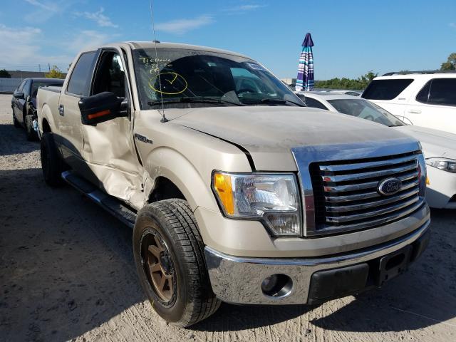 FORD F150 SUPER 2010 1ftew1c81afd24987