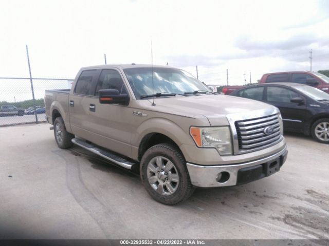 FORD F-150 2010 1ftew1c81afd55169