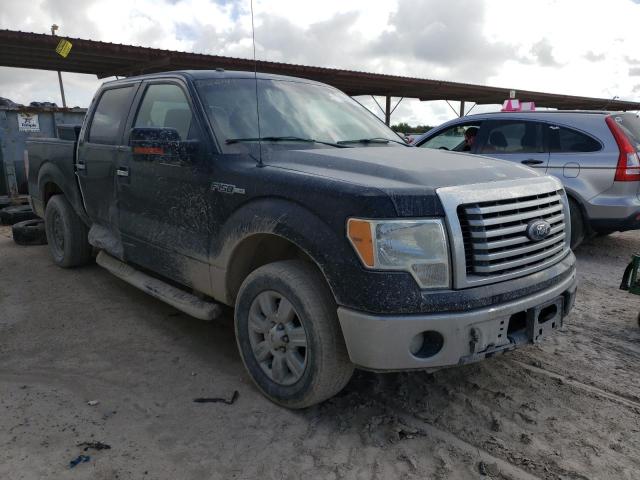 FORD F150 SUPER 2010 1ftew1c81afd66141