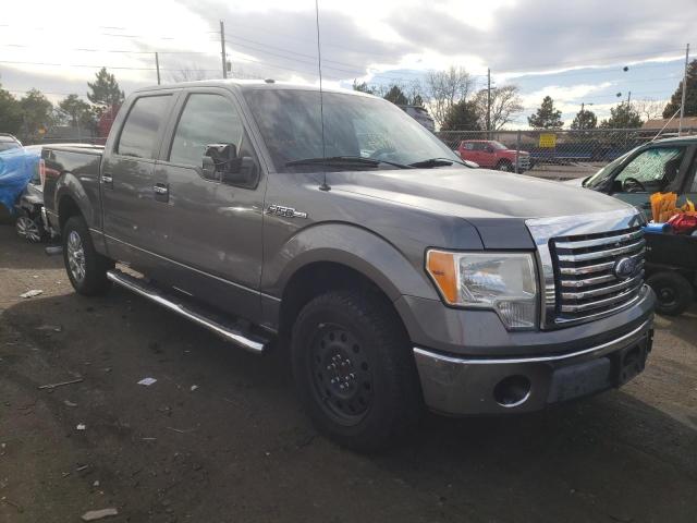 FORD F150 SUPER 2010 1ftew1c81afd70920