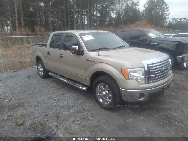 FORD F-150 2010 1ftew1c81afd73994