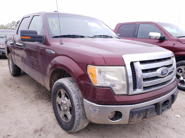 FORD F150 SUPER 2010 1ftew1c81afd86910