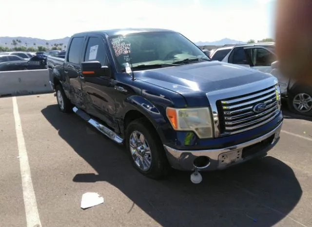 FORD F-150 2010 1ftew1c81aka23174