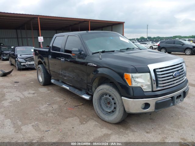 FORD F150 2010 1ftew1c81aka76781