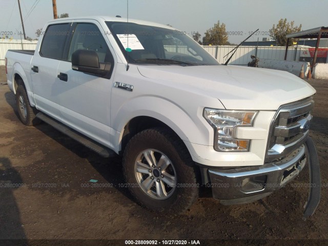 FORD F-150 2015 1ftew1c81fkd03569