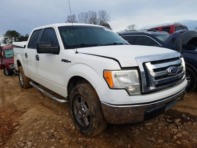 FORD F150 SUPER 2010 1ftew1c82afb02281