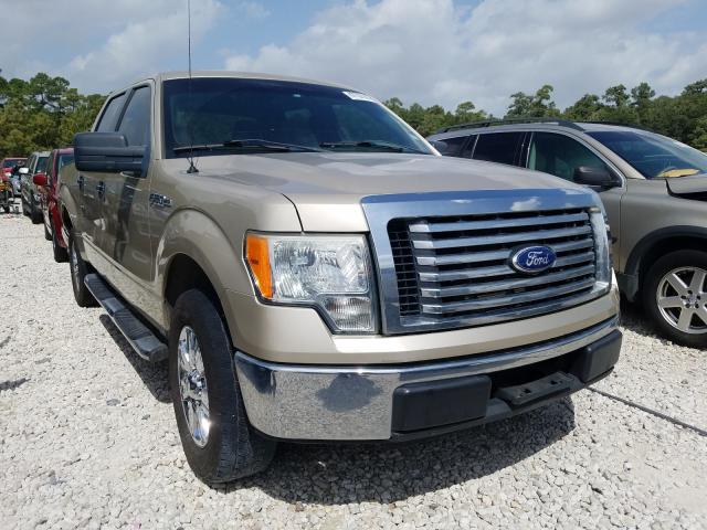 FORD F150 SUPER 2010 1ftew1c82afb25995