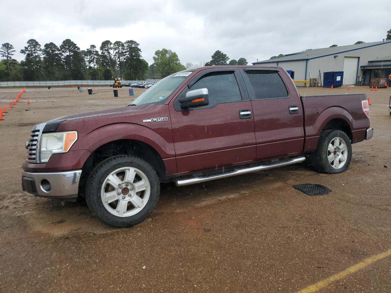 FORD F-150 2010 1ftew1c82afb38004