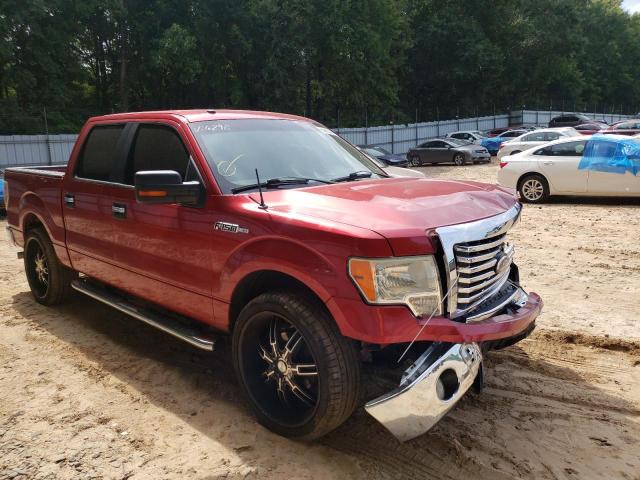 FORD F150 SUPER 2010 1ftew1c82afc06298