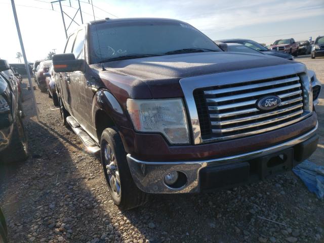 FORD F150 SUPER 2010 1ftew1c82afc16295