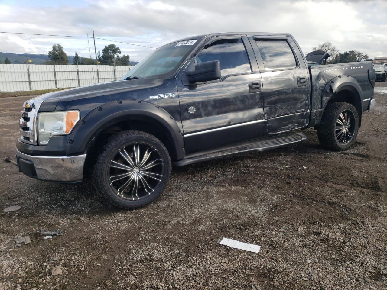 FORD F-150 2010 1ftew1c82afc36613