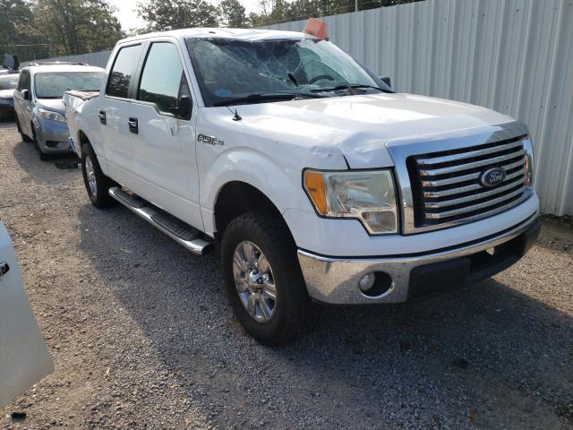 FORD F150 SUPER 2010 1ftew1c82afd01685