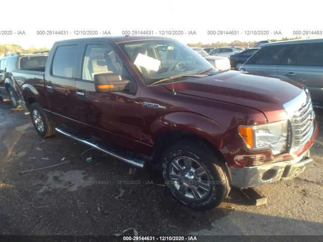 FORD F-150 2010 1ftew1c82afd50546