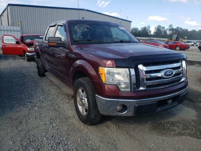 FORD F150 SUPER 2010 1ftew1c82afd81232