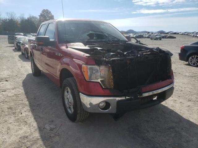 FORD F150 SUPER 2010 1ftew1c82aka57835