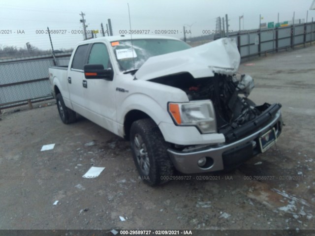 FORD F-150 2010 1ftew1c83afb99717