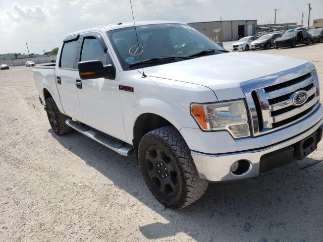 FORD F150 SUPER 2010 1ftew1c83afc70639