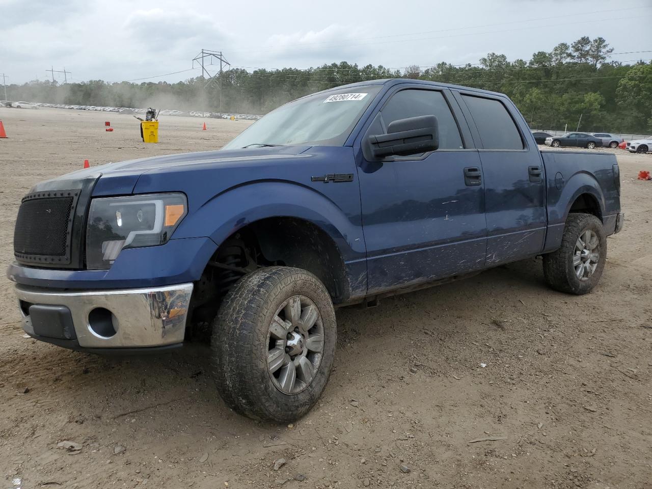 FORD F-150 2010 1ftew1c83afc96979