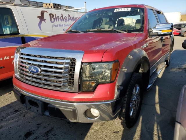 FORD F150 SUPER 2010 1ftew1c83afd32251