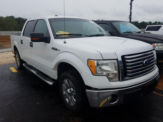 FORD F150 SUPER 2010 1ftew1c83afd65833