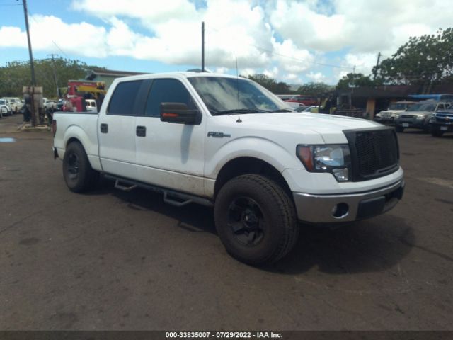 FORD F-150 2010 1ftew1c83ake17145