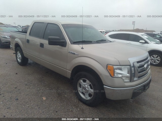 FORD F-150 2010 1ftew1c83ake36598