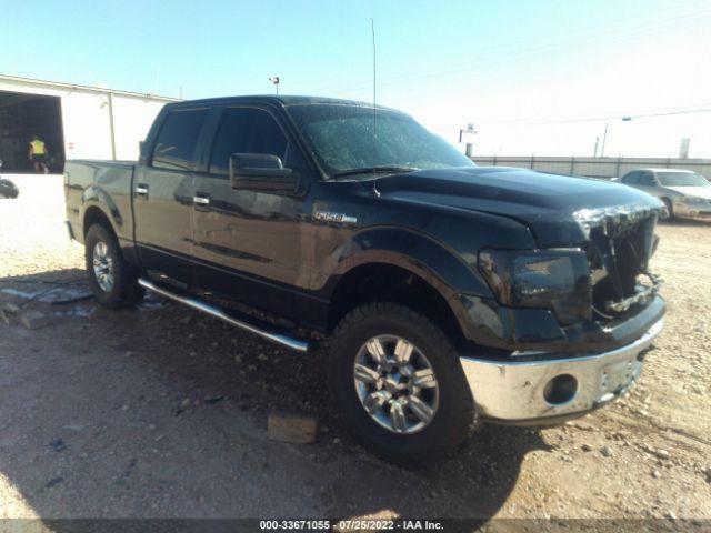 FORD F-150 2010 1ftew1c84afa01498