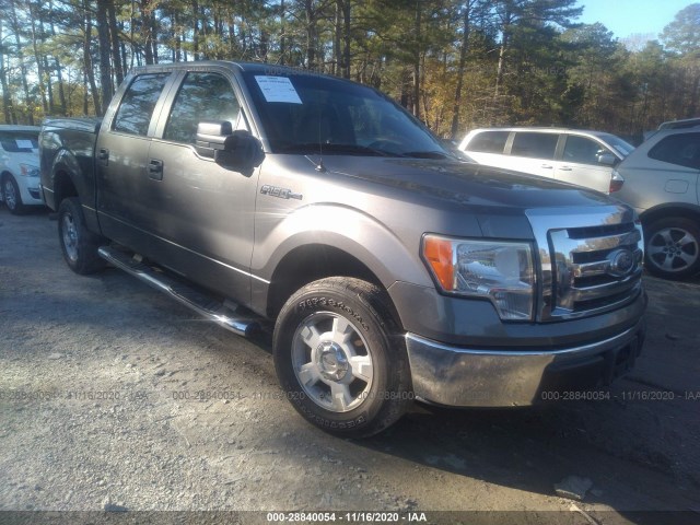 FORD F-150 2010 1ftew1c84afa06524